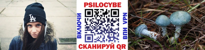МЕГА зеркало  Сафоново  Галлюциногенные грибы прущие грибы  что такое наркотик 